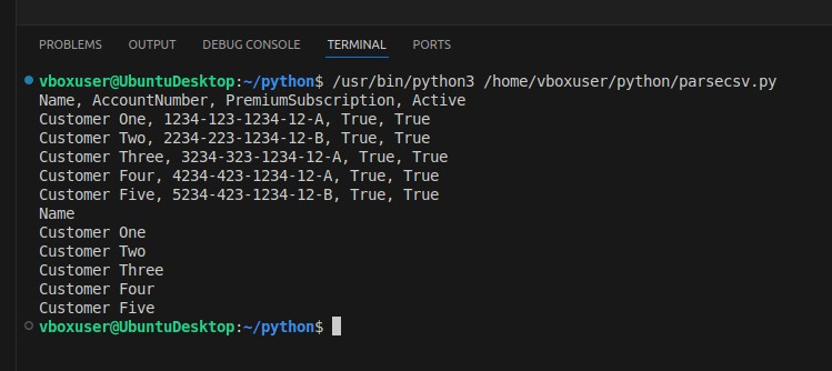 Terminal Output Showing Additional Example Printing Only Name