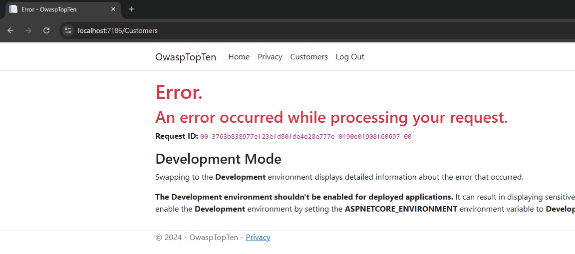 Application Error Page